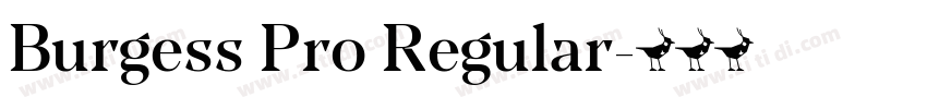 Burgess Pro Regular字体转换 Burgess Pro Regular字体转换
